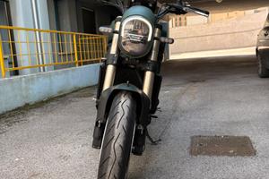 Benelli Leoncino 800 stradale