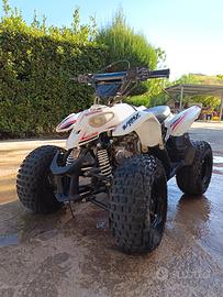 quad 110 cilindrata