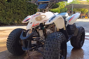 quad 110 cilindrata
