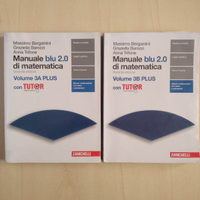 Manuale blu 2.0 di matematica isbn 9788808696649