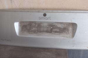 porta targa smart