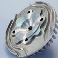 Testa 130 polini evo