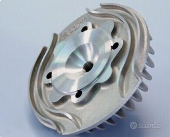 Testa 130 polini evo