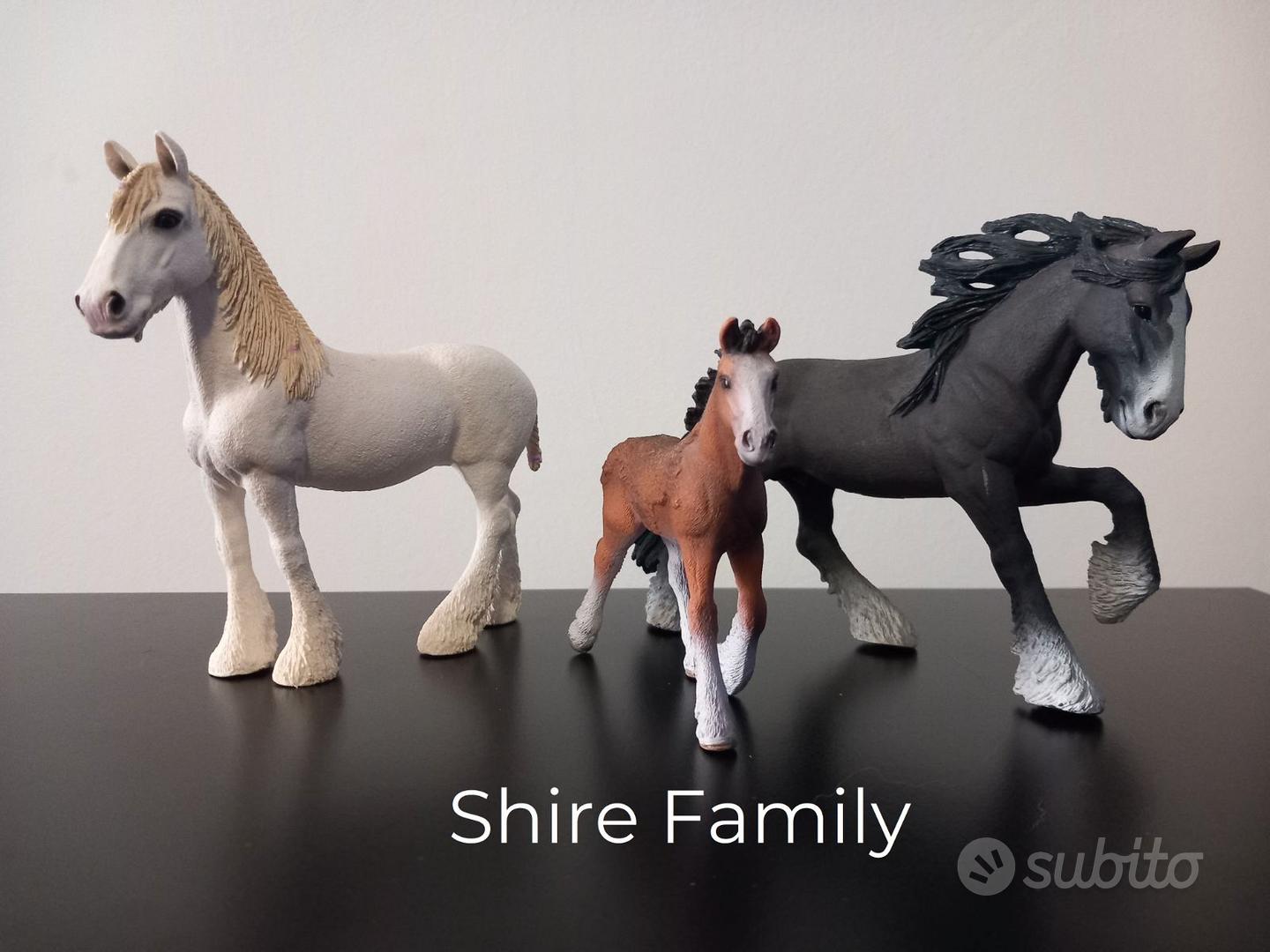 Schleich famiglia cavalli: Shire - Collezionismo In vendita a Perugia