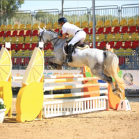 S.I. e A.A. & non solo: vari soggetti di varia età