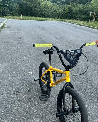 Bmx wethepeople