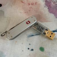 Victorinox swissbit 256MB.