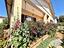 Immagine 9