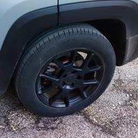 Jeep Renegade upland