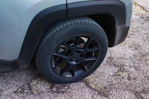 Jeep Renegade upland