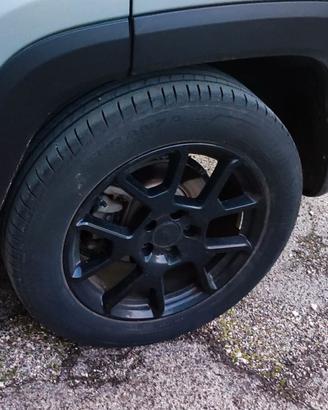 Jeep Renegade upland