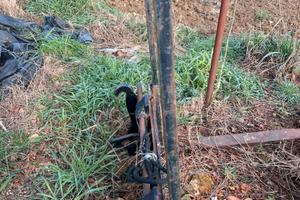 Forche caricatore frontale Angeloni