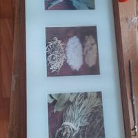 Quadro spezie