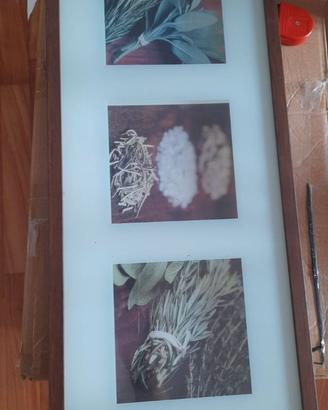 Quadro spezie