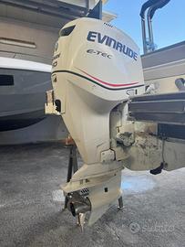 Evinrude 250 e tec solo motore