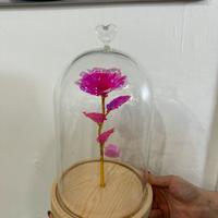 Rosa in campana di vetro con cuore