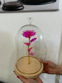 Rosa in campana di vetro con cuore