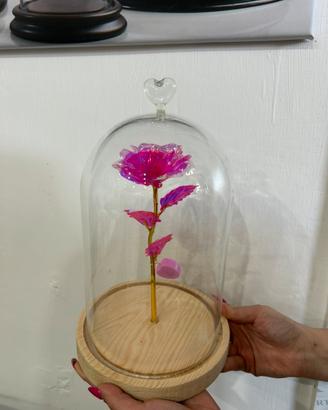 Rosa in campana di vetro con cuore