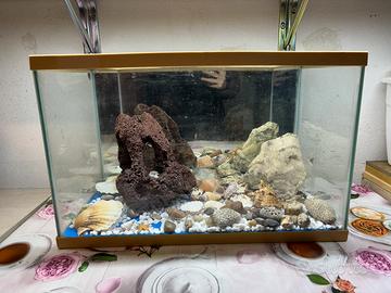 acquario con tutti gli accessori
