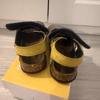 Sandalo colors of california numero 26