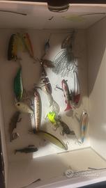 Trout area e fiume