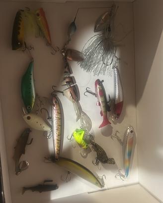 Trout area e fiume