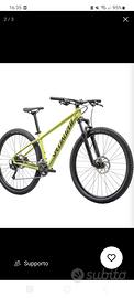 Bicicletta Specialized