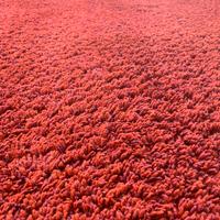 Tappeto Rosso