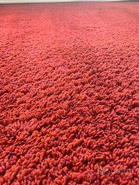 Tappeto Rosso