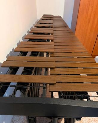 Marimba Majestic Deluxe Series a 4,3 ottave.
