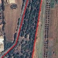 Vendita terreno a Cardedu