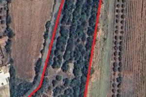 Vendita terreno a Cardedu