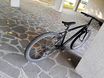 bici da uomo 