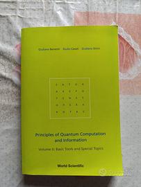 Principles of Quantum computation and information