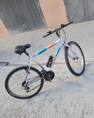 bicicletta mtb 26