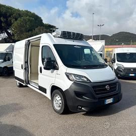 FIAT DUCATO 2.3mjt 140cv L3H2 FRIGO - ANNO 2020