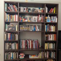 Libreria in Teak scuro