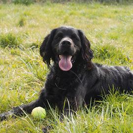 Biondo aspetta una famiglia