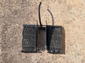 Radiatori PUCH Frigerio F5