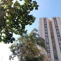 3 vani ristrutturato con p.auto viale librino