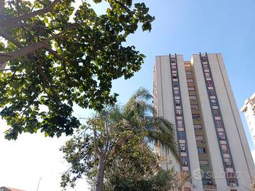 3 vani ristrutturato con p.auto viale librino