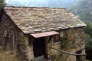 Terreno11.000 mq con baita