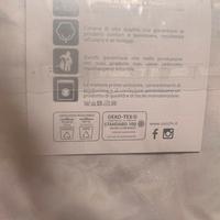 Federe ciscino zucchi nuove