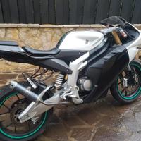 moto  50 rieju am6 malossi 77
