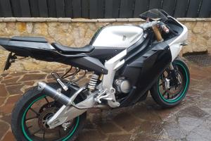 moto  50 rieju am6 malossi 77