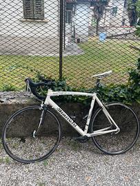 Bianchi Nirone bici da corsa