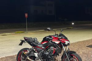 Kawasaki Z650 MY2024