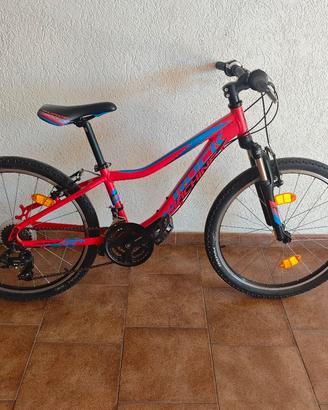 bicicletta 