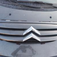 GRIGLIA ANTERIORE CITROEN C3 PRIMA SERIE 