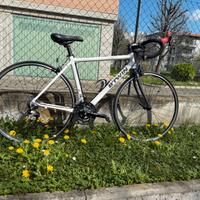 Bici da corsa